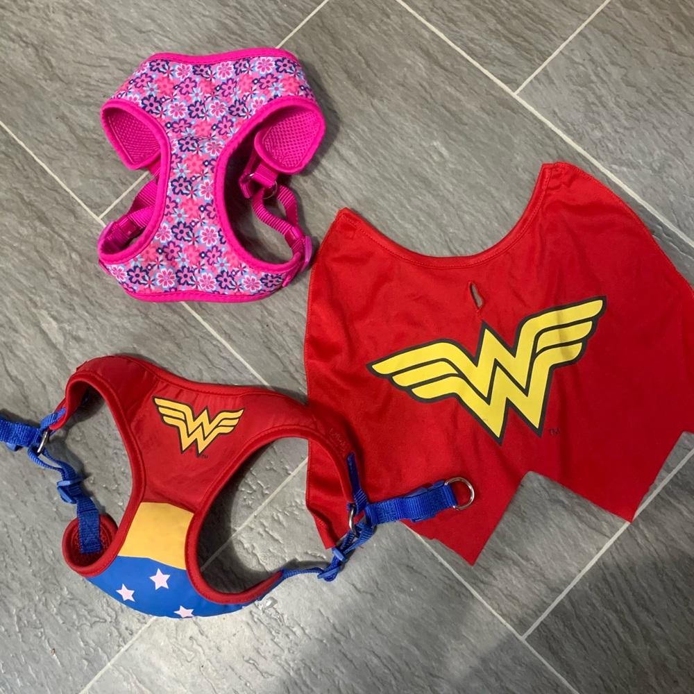 Bundle frame and dog Harness